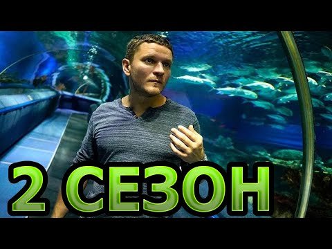 Дельфин 2 сезон 1 серия